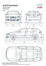 Audi S3 Sportback 2008 года (WW)